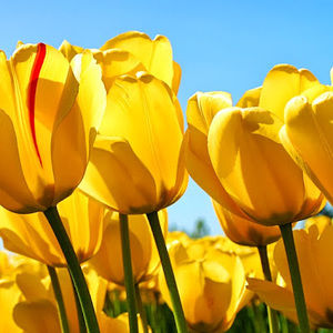 Meet your Posher, Natallie